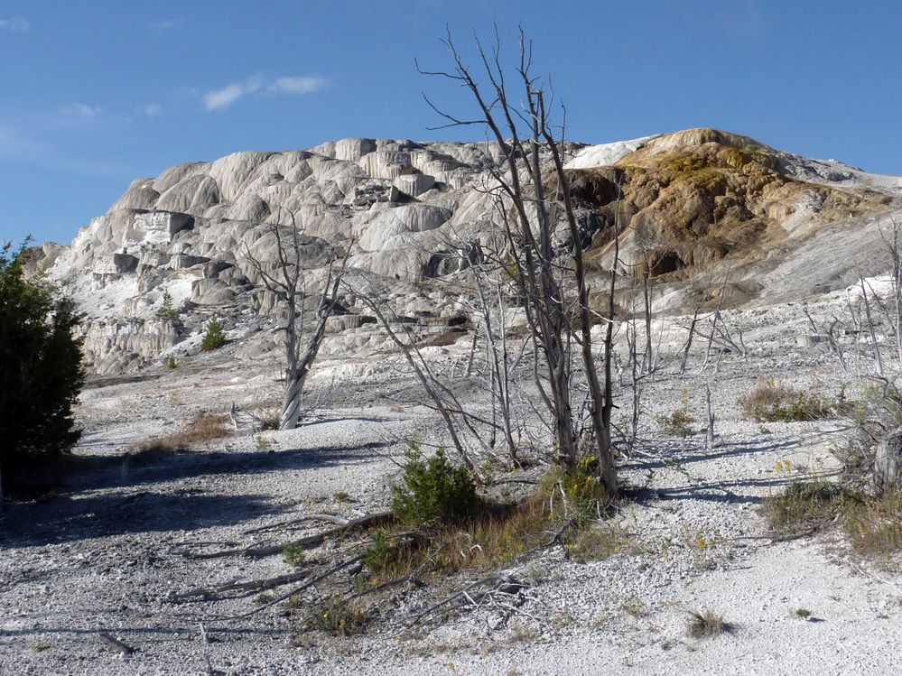 Yellowstone Mammoth Hotsprings (42).JPG